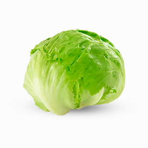 1.Iceberg