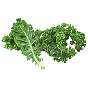 10.Kale_