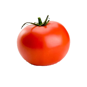 24.Tomate-Long-Life