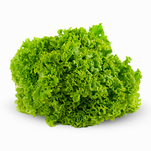 3.Lollo-biondo