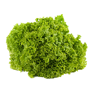 3.Lollo-biondo