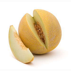 31.Melon-galia