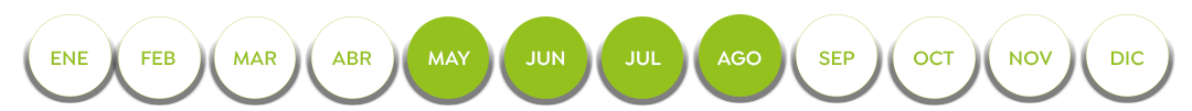 Calendario-36
