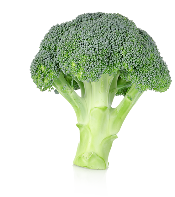 brocoli-Brásicas