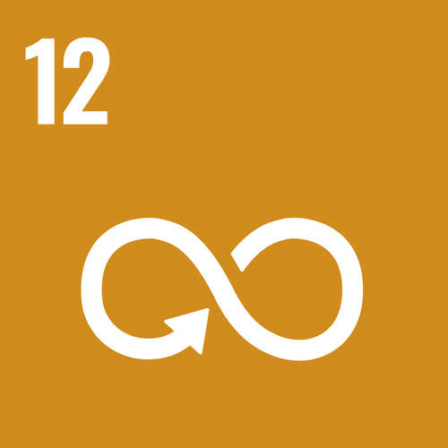 S-WEB-Goal-12