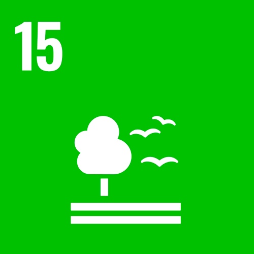 S-WEB-Goal-15