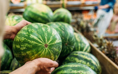 Spanish Watermelon